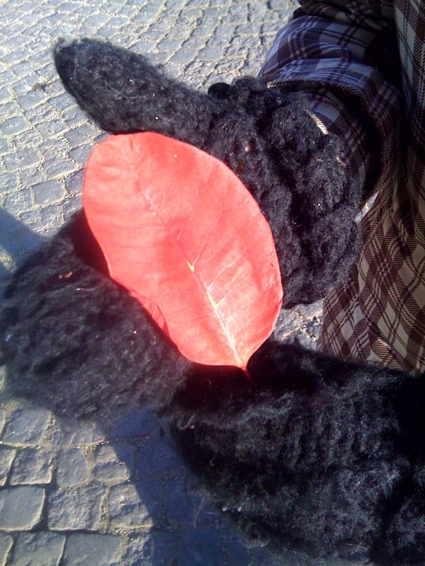 Herbst