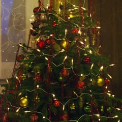 20161226_0151