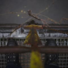 20161226_0046