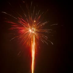 Happy New Year!