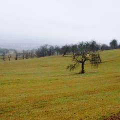 20161226_0117