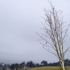 20161226_0132