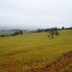 20161226_0116