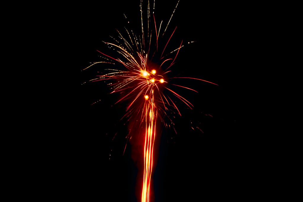 Silvester-2016_0004