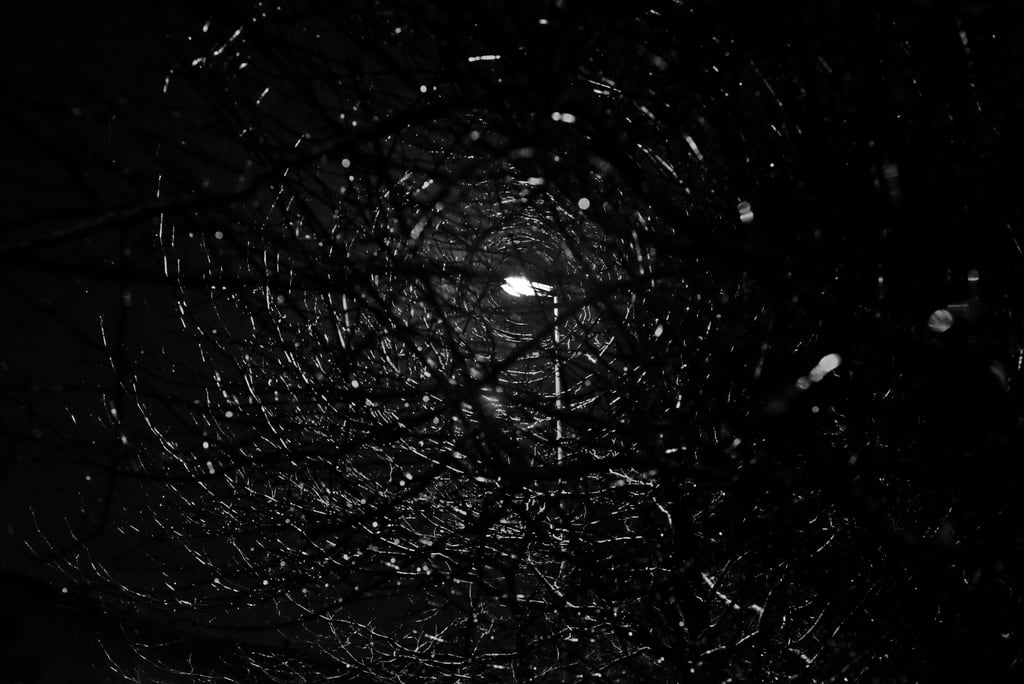 Light behind a tree