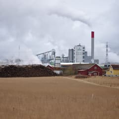 Södra Cell Värö