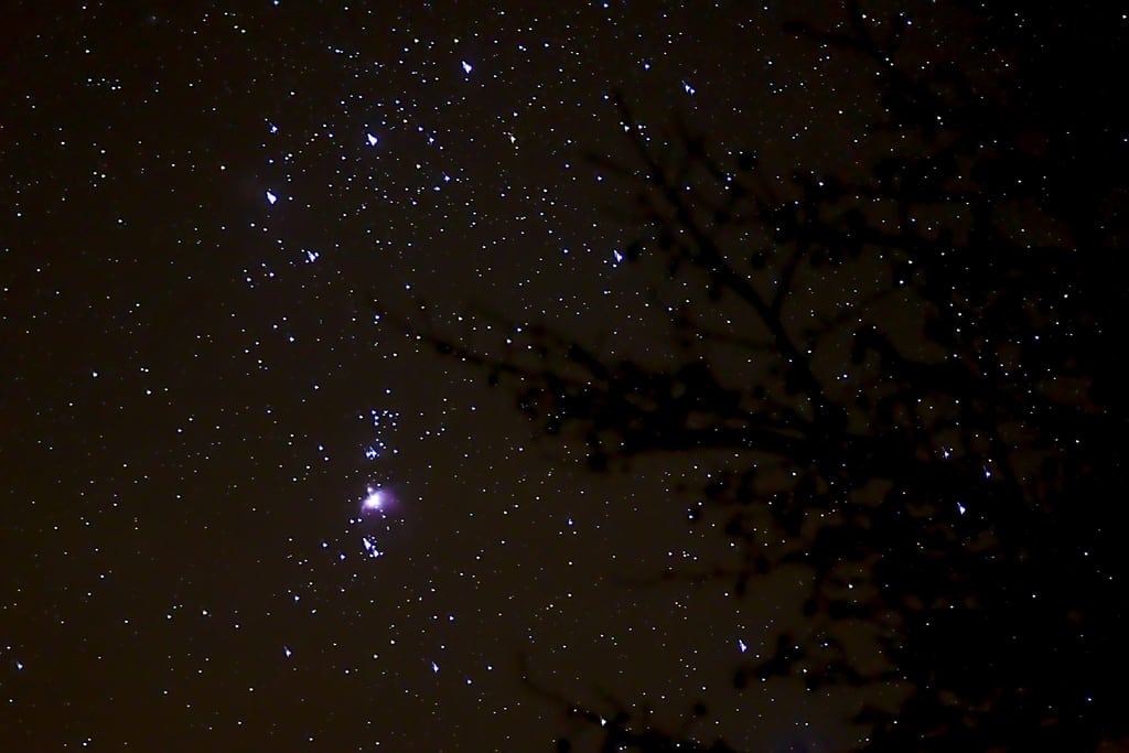 Orion Nebula