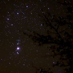 Orion Nebula