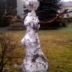 Dürrer Schneemann