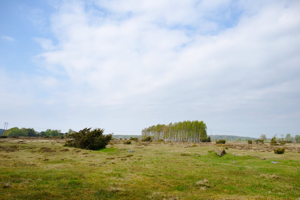 Varberg Landscape