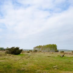 Varberg Landscape