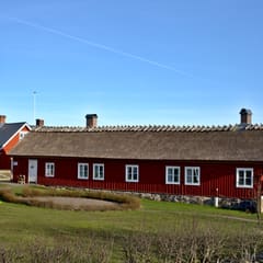 Swedish house