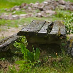 goetz-photashoot_0007