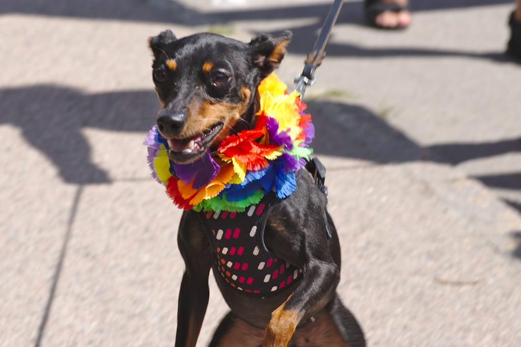 pride-varberg_0019