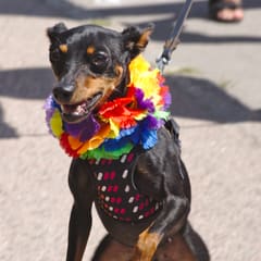 pride-varberg_0019