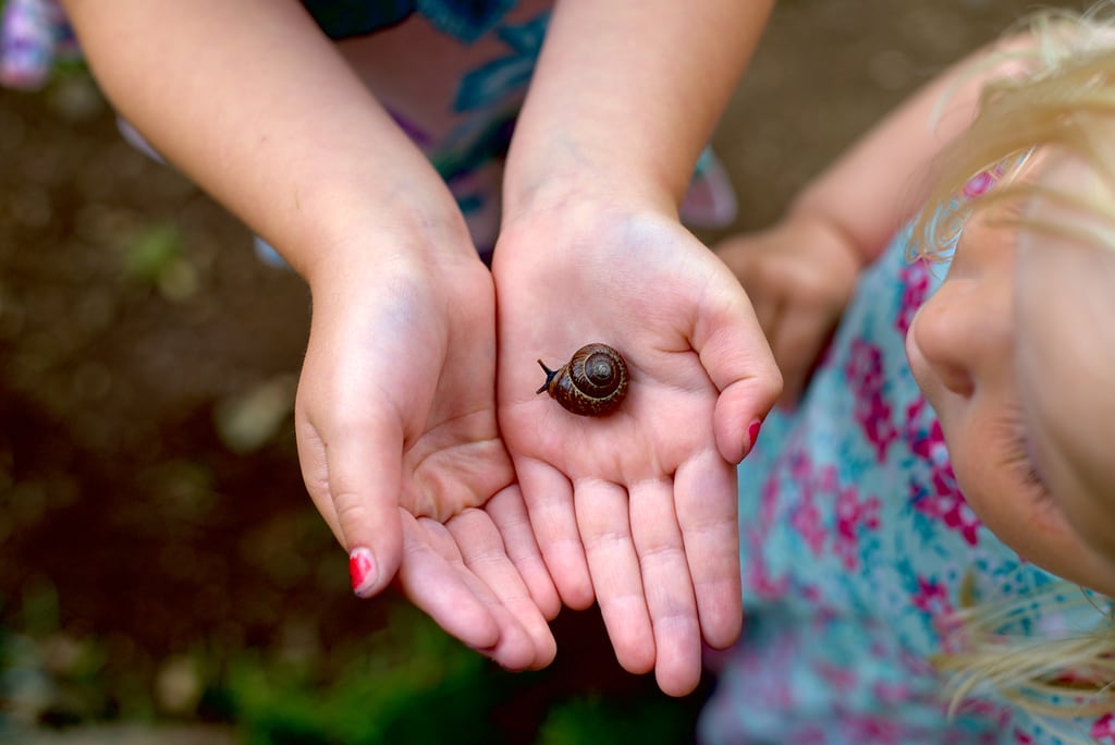 Snail