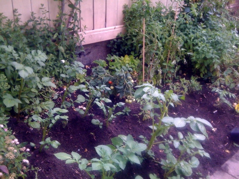 Garten