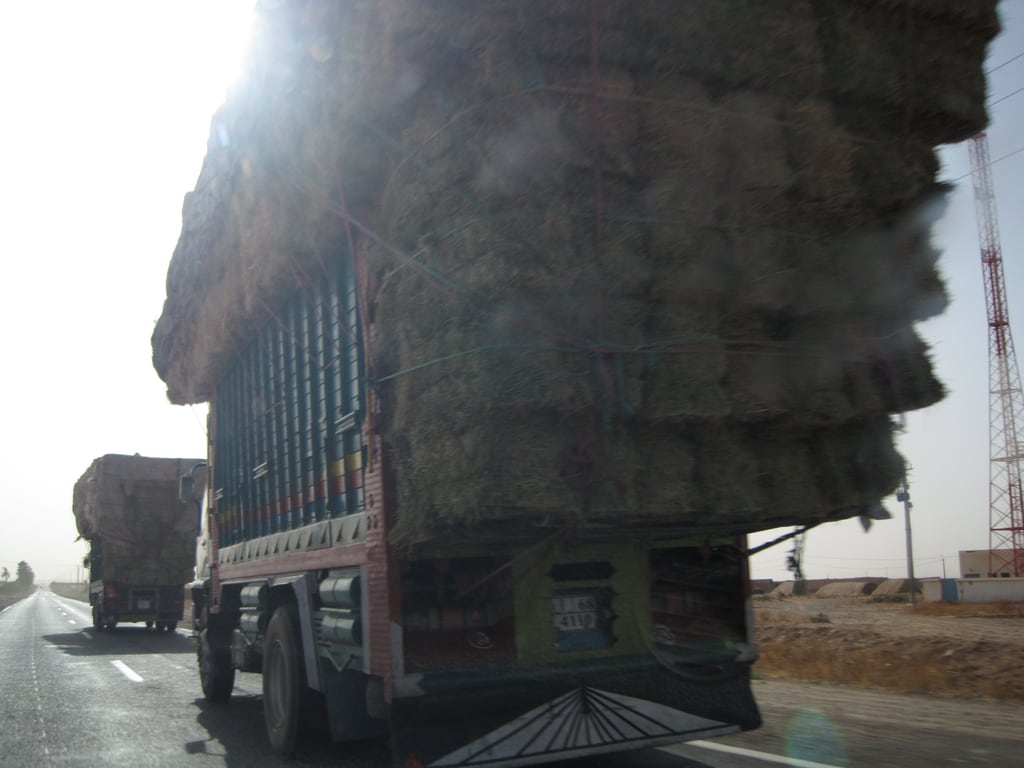 Heutransport