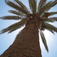 IMG_0181