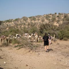 IMG_0040_2