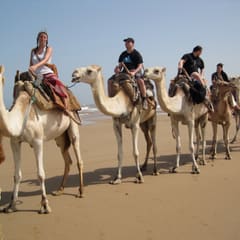 IMG_0053_2