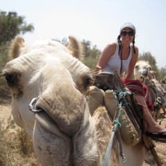 Sarah auf dem Kamel