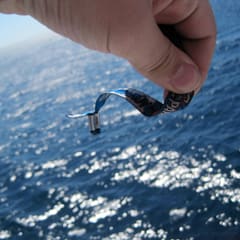 IMG_0036_2