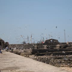 IMG_0144