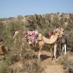 IMG_0041_2