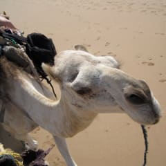 IMG_0047_2