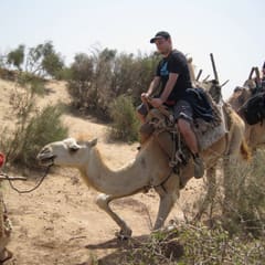 IMG_0082_2