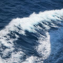 IMG_0032_2