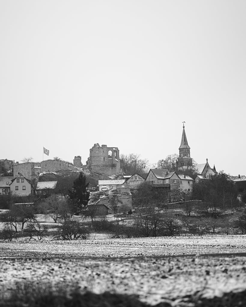 Altenstein in January