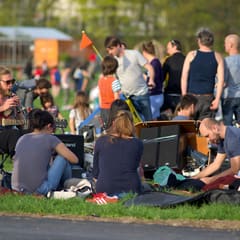 Pulsar Collective
