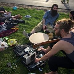 Pulsar Collective