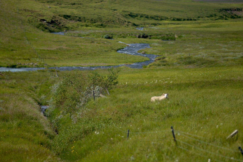 Iceland-2018_0023