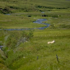 Iceland-2018_0023