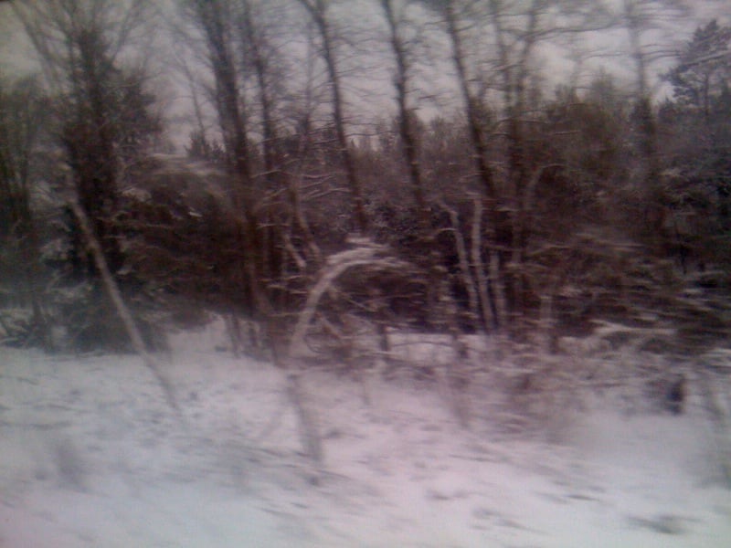 Schnee