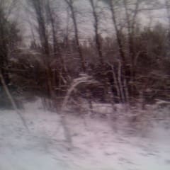 Schnee
