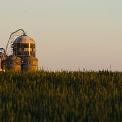 Silos at sundown