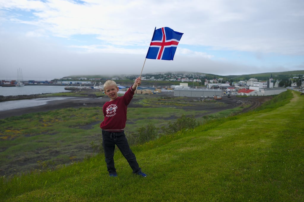 Iceland flag