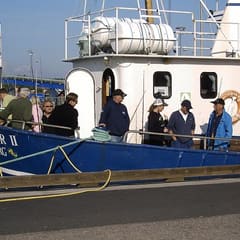 Sportseeangler