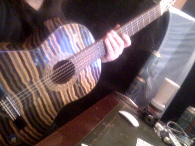 Zebra-Gitarre