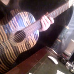Zebra-Gitarre