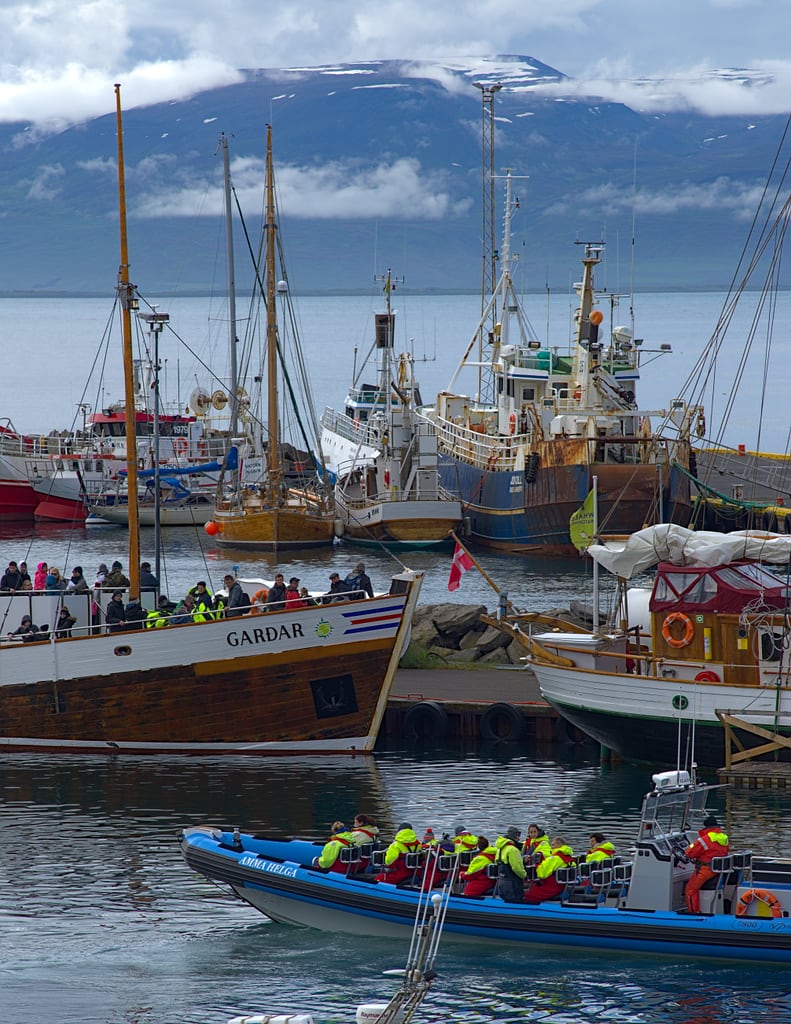 Harbor Húsavík
