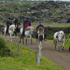 Iceland-2018_0026