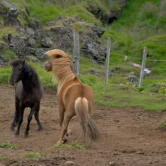 Iceland-2018_0019