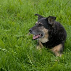 Iceland-2018_0005_01