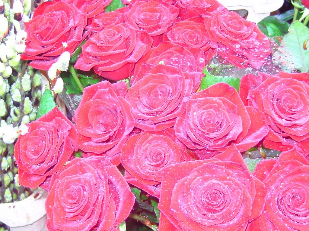 Flower Market 4