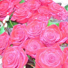 Flower Market 4
